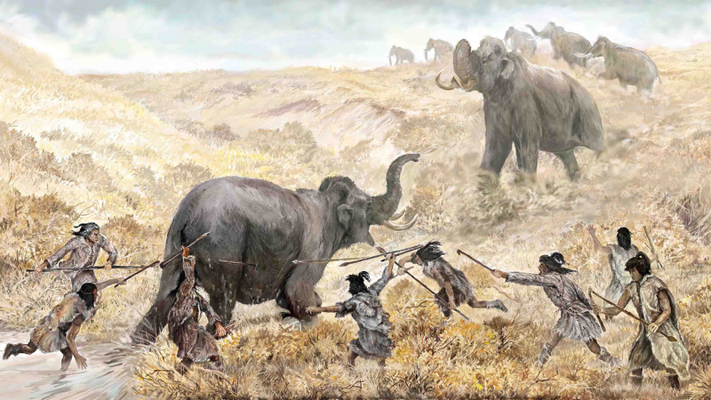 Artist’s depiction of Clovis humans hunting mastodon in North America some 15,000 years ago. (Illustration by Velizar Simeonovski © The Field Museum)